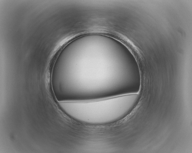 X0000116491461200912090937