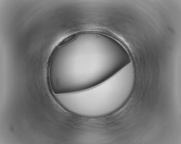 X0000116491463200912090937