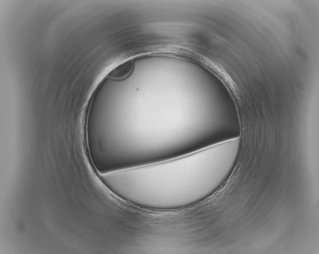 X0000116491483200912090937