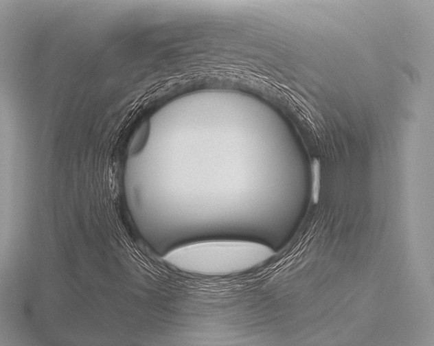X0000116491491200912090936