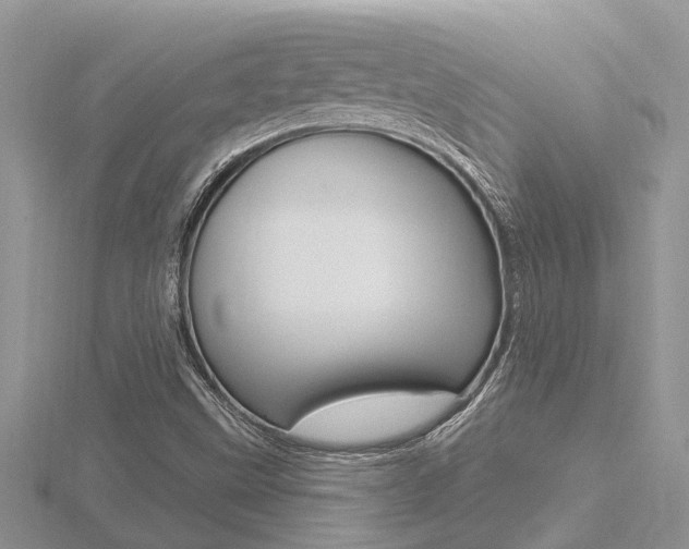 X0000116491499200912090936