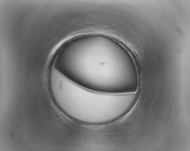 X0000116491502200912090936