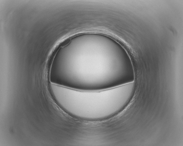 X0000116491506200912090937