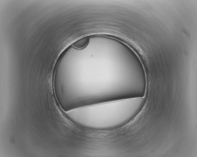 X0000116491513200912090937