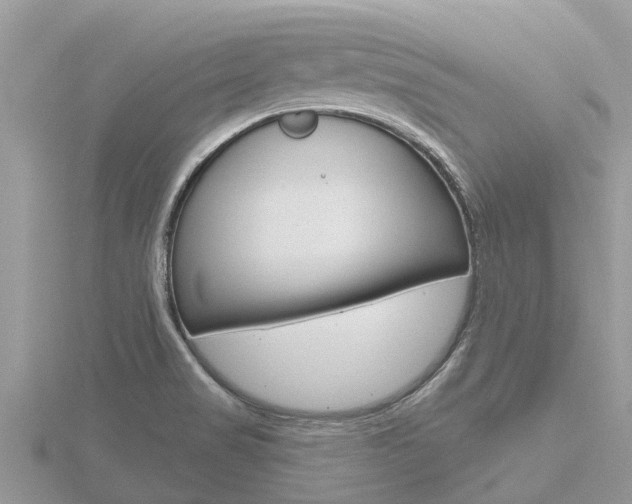 X0000116491517200912090937