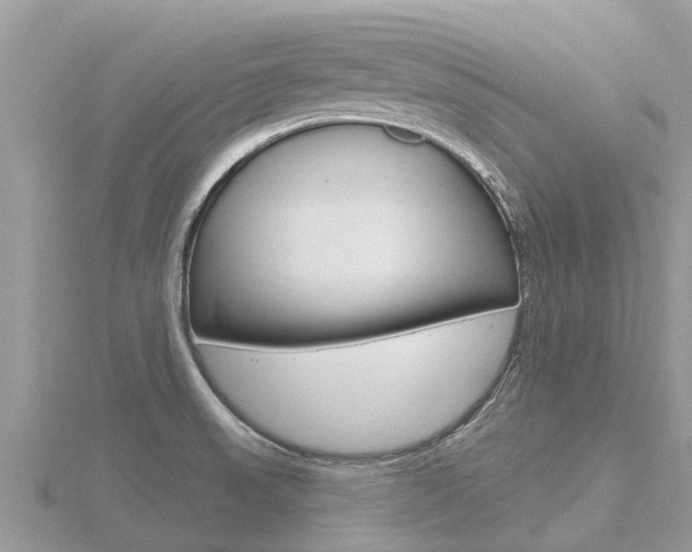 X0000116491523200912090937