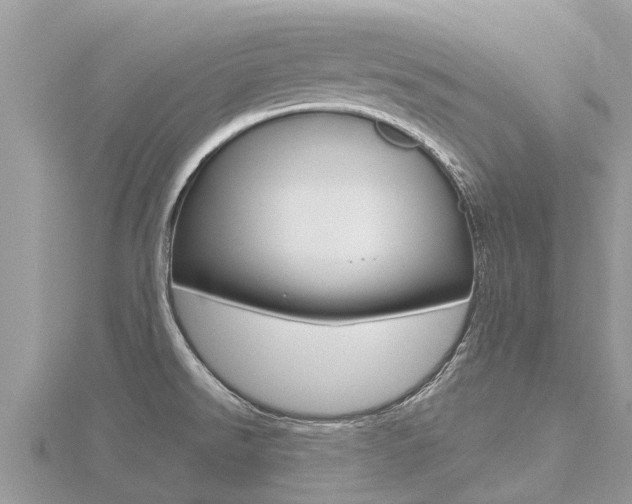 X0000116491526200912090937