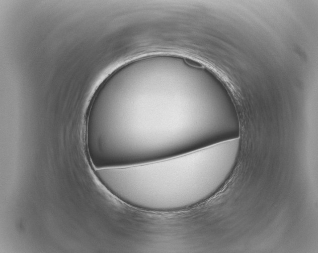 X0000116491527200912090937