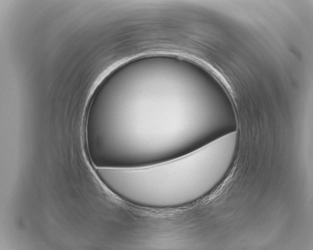 X0000116491533200912090937