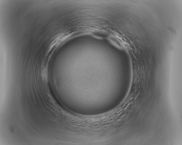 X0000116490002200912091430