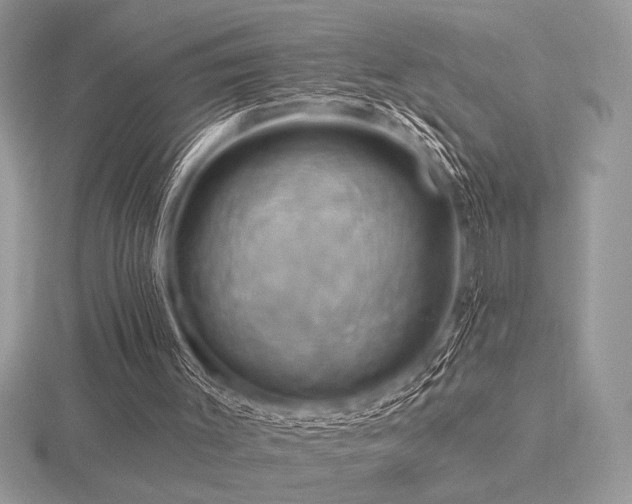 X0000116490003200912091430