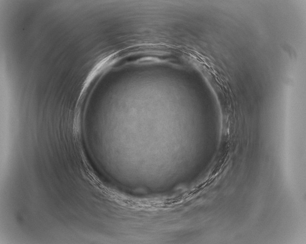 X0000116490004200912091430