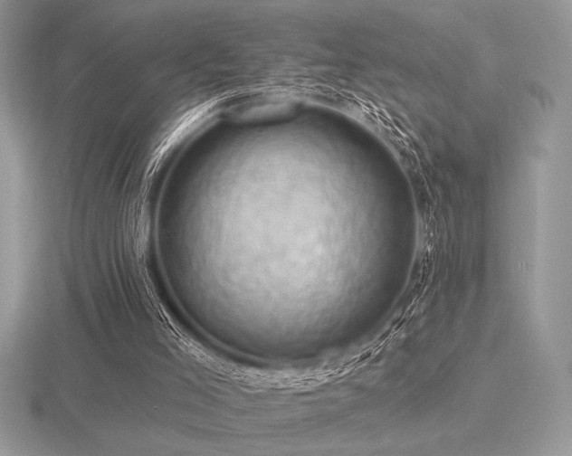 X0000116490005200912091430