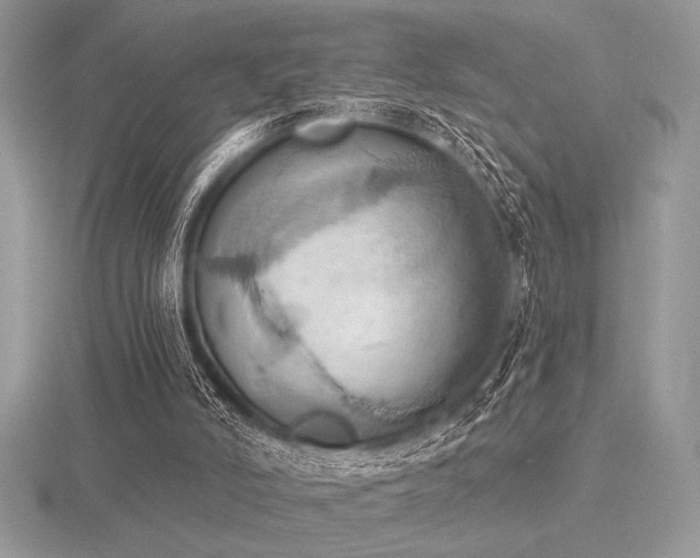 X0000116490006200912091430