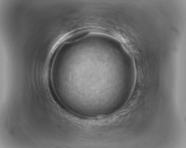 X0000116490007200912091430