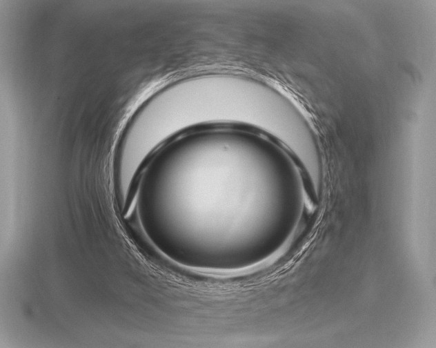 X0000116490008200912091430