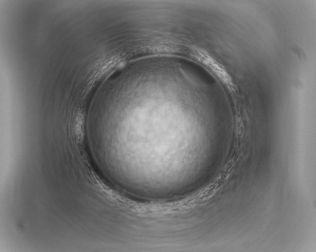 X0000116490009200912091430