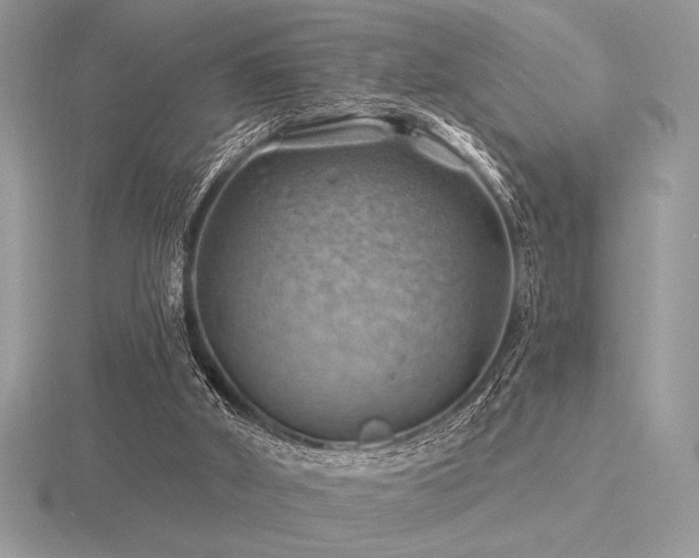 X0000116490010200912091430