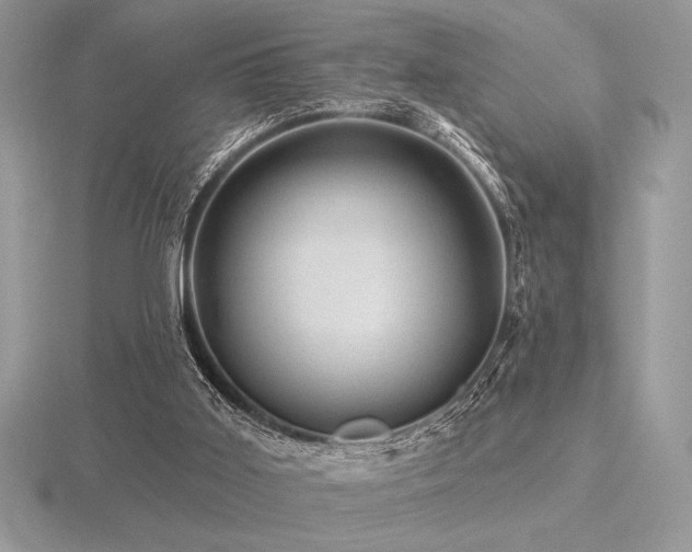 X0000116490011200912091430