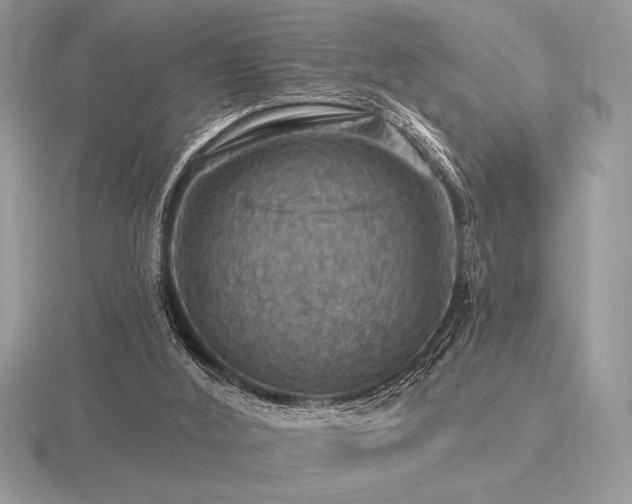 X0000116490012200912091430