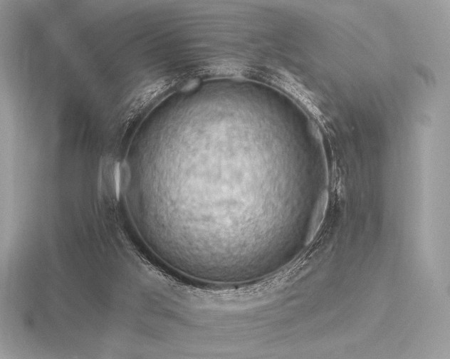 X0000116490013200912091430