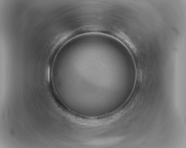 X0000116490014200912091430