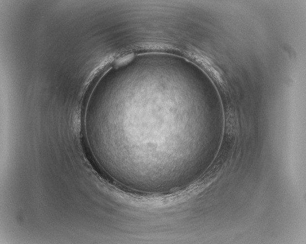 X0000116490015200912091430