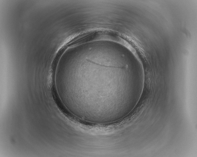 X0000116490016200912091430