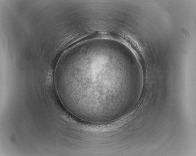 X0000116490017200912091430