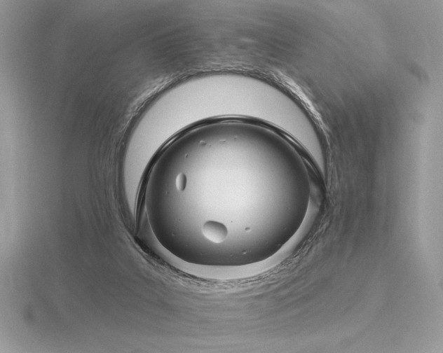 X0000116490019200912091430