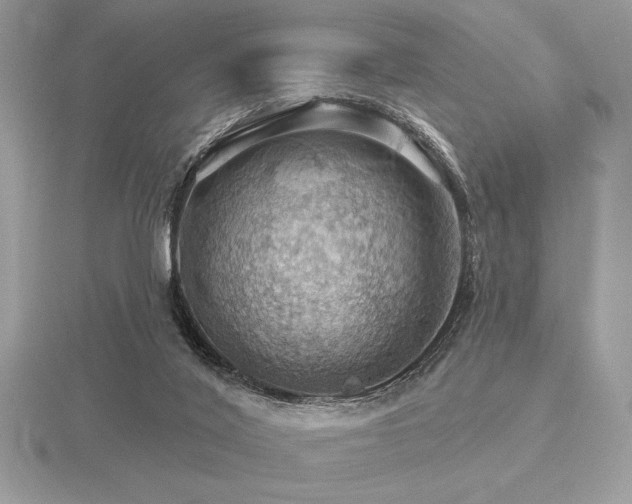 X0000116490020200912091430