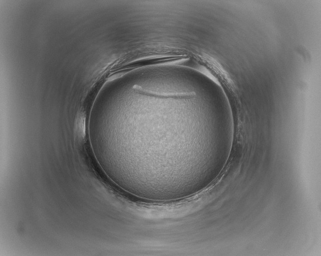 X0000116490021200912091430