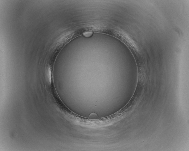 X0000116490022200912091430