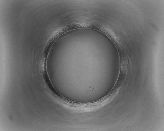 X0000116490023200912091430