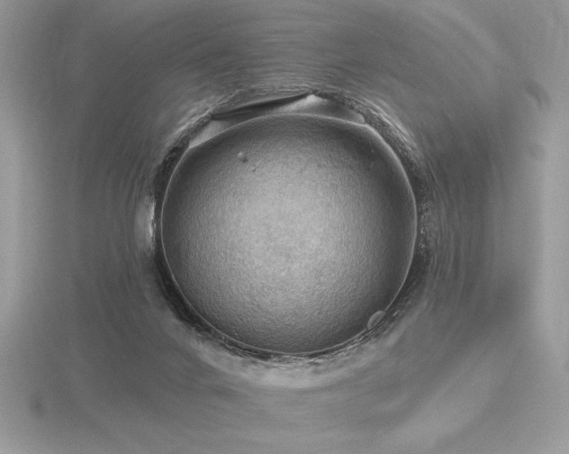 X0000116490024200912091430