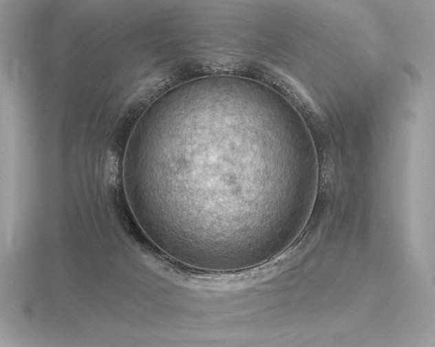 X0000116490025200912091430