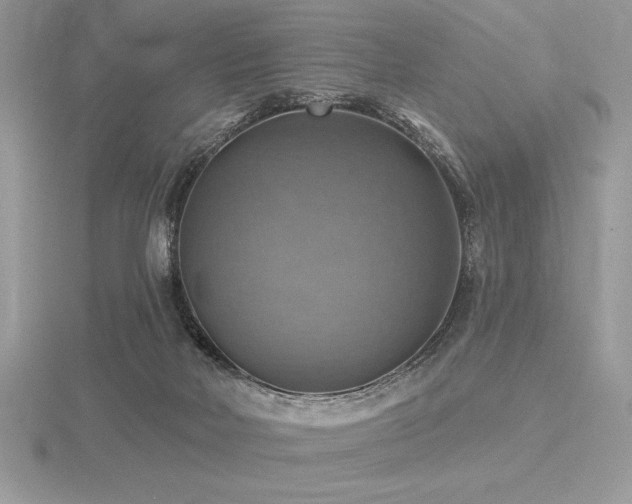 X0000116490026200912091430