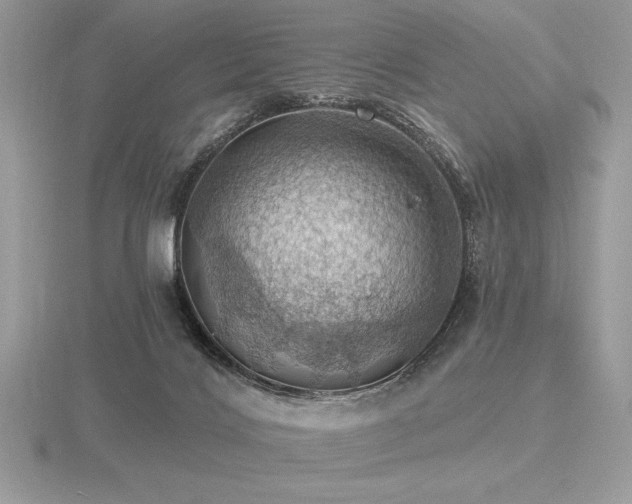 X0000116490028200912091430