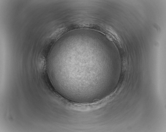 X0000116490029200912091430