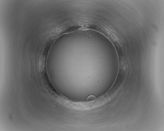 X0000116490030200912091430