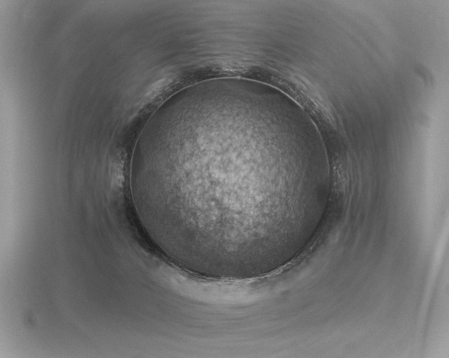 X0000116490032200912091430