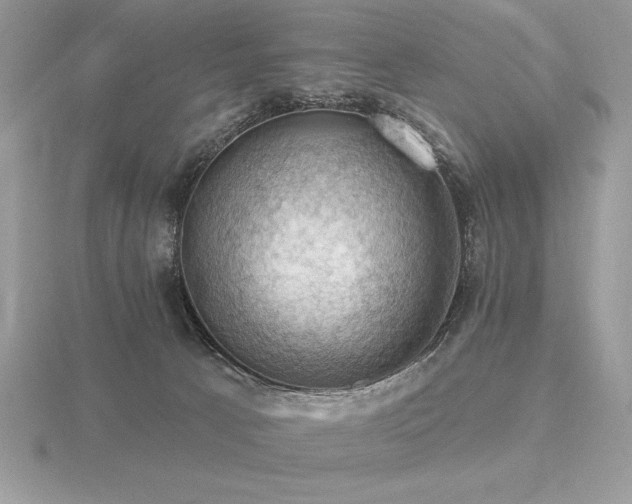 X0000116490033200912091430