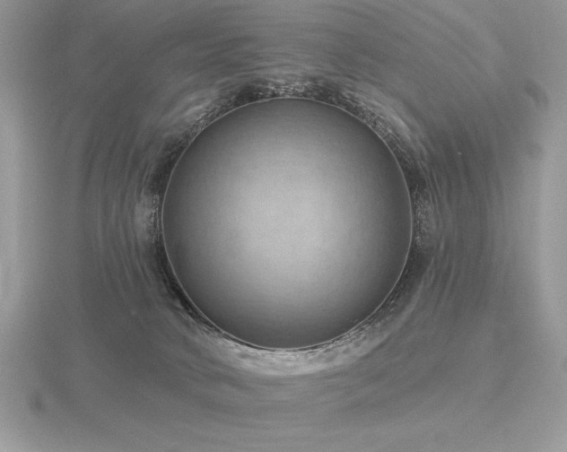 X0000116490034200912091430