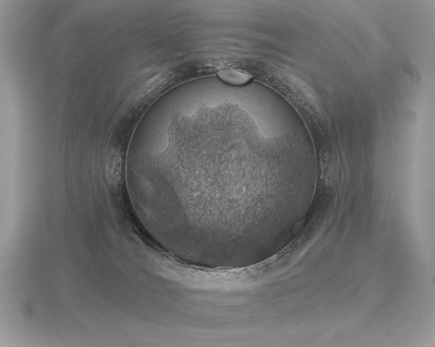 X0000116490036200912091430