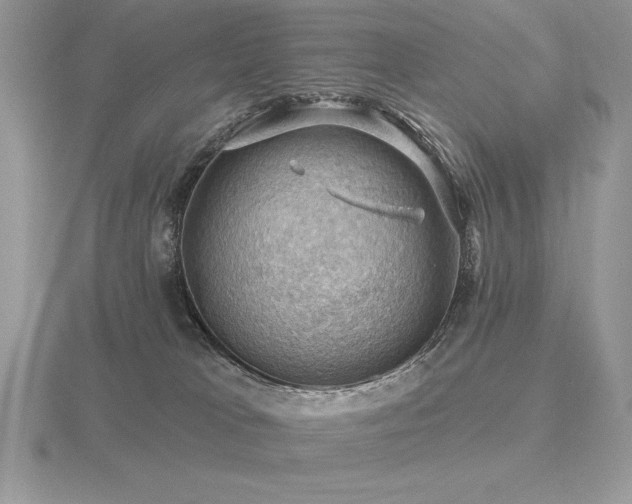 X0000116490037200912091430