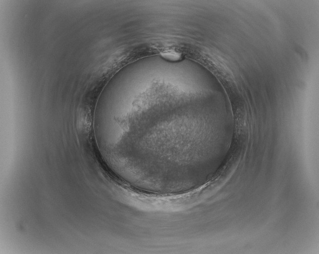 X0000116490040200912091430