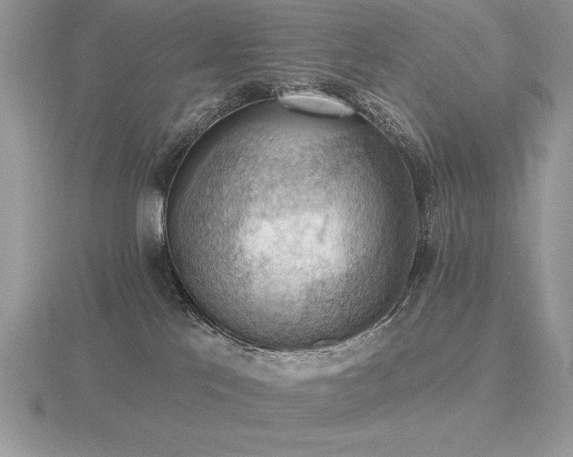 X0000116490041200912091430