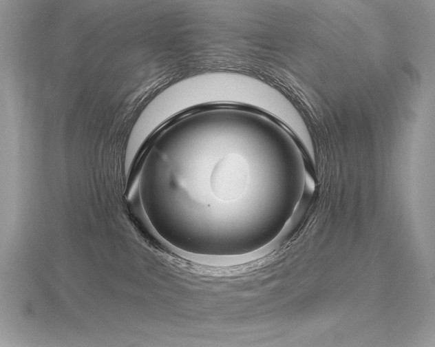 X0000116490043200912091430