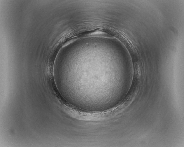 X0000116490044200912091430