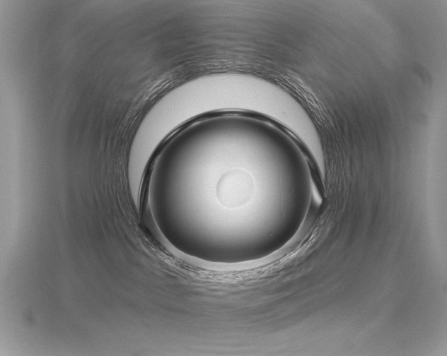 X0000116490045200912091430